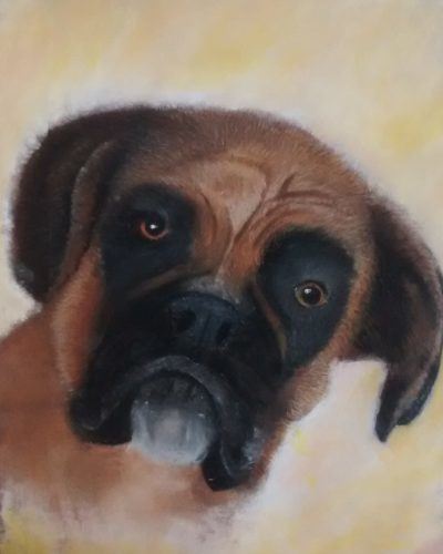 Boxer Dog in Pastels