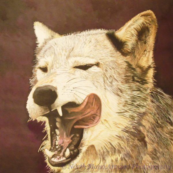 Original coloured pencil drawing 'Hungry Wolf'