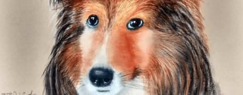 Dog pastel portrait, Bob Ashford