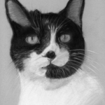Cat Pastel Portrait, PetsPortraits4u