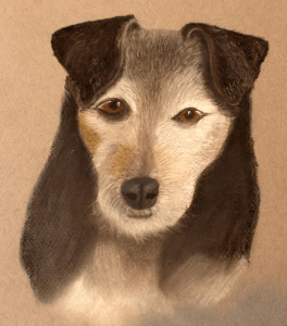 Dog Pastel Portrait, PetsPortraits4u