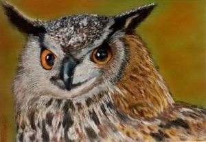 Honed Eared Owl pastels drawing portrait picture