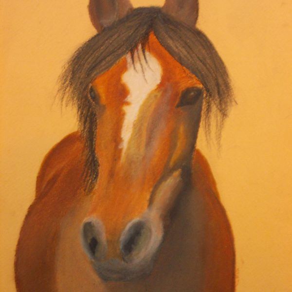 Custom Pastel Pet Horse Portrait Commissions