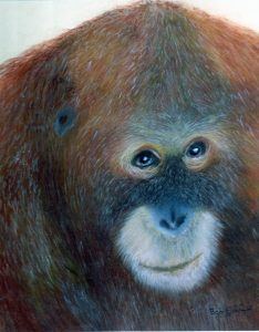Orangutan drawing painting
