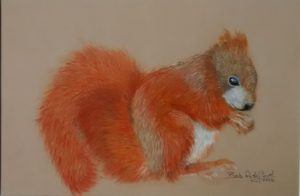 Squirrel drawing painting