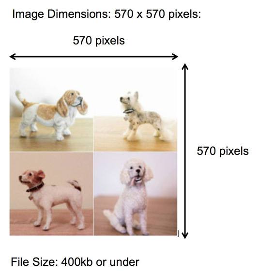 Image Size and Dimensions